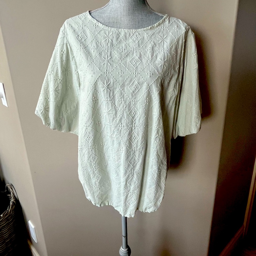 Elegant Pale Green Embroidered Women's Top
